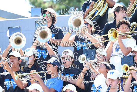 WHS_mb_stands_30