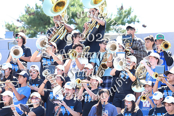 WHS_mb_stands_32