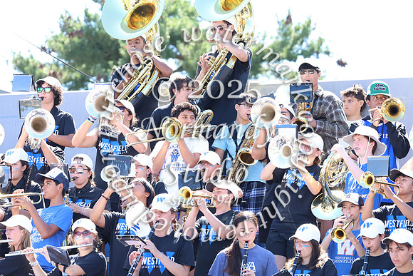 WHS_mb_stands_33