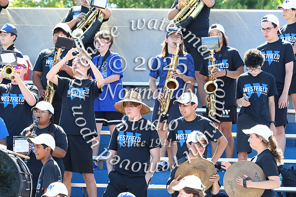 WHS_mb_stands_39