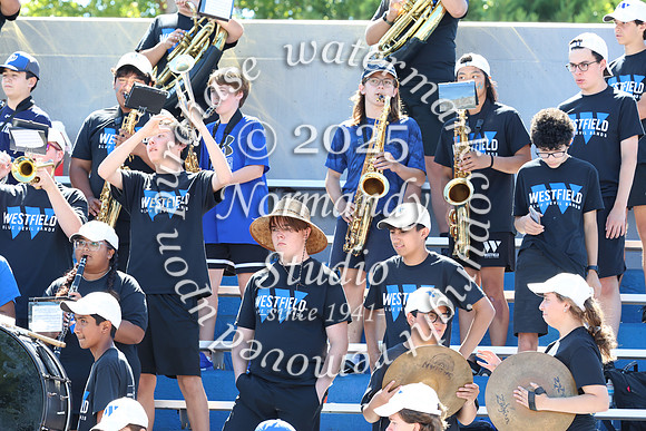 WHS_mb_stands_40