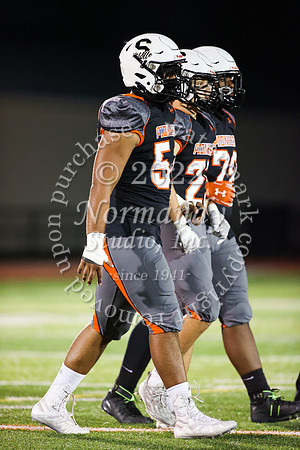 SVL_fb_39