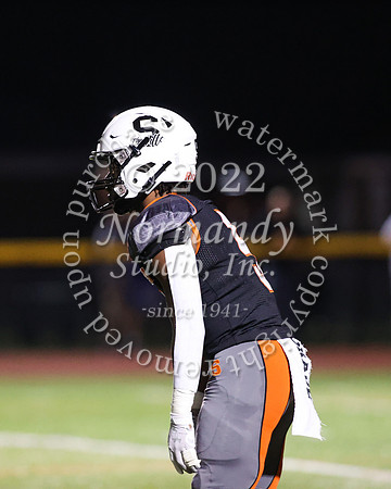 SVL_fb_43