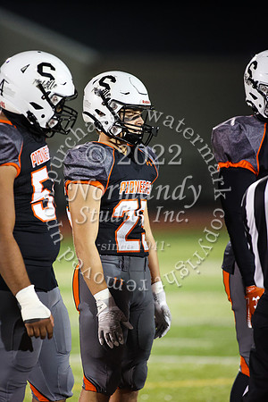 SVL_fb_41