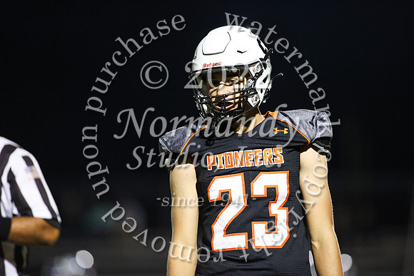SVL_fb_46