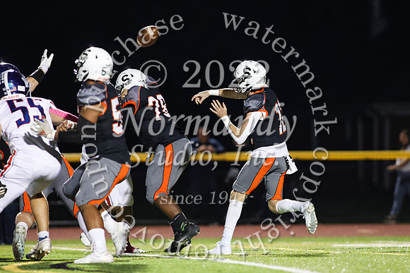 SVL_fb_52