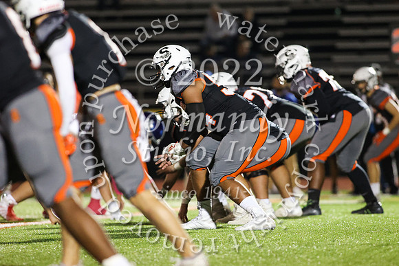 SVL_fb_59