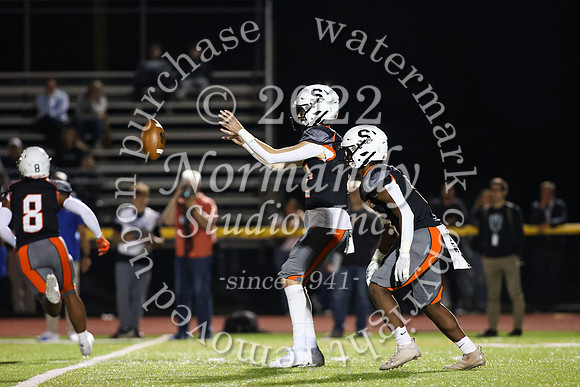 SVL_fb_60