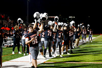 SVL_fb_02