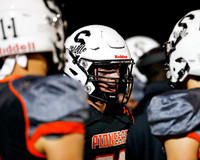 SVL_fb_05