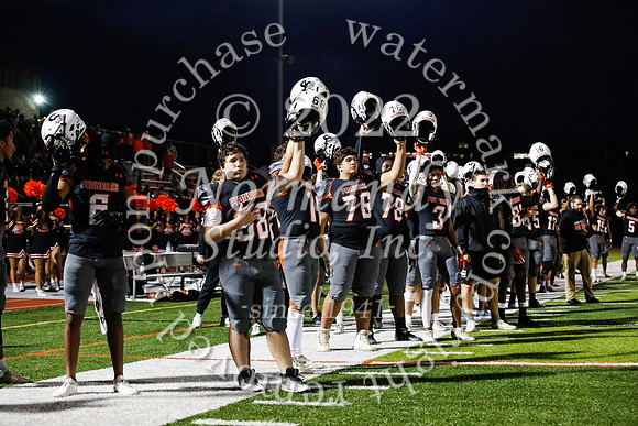 SVL_fb_03