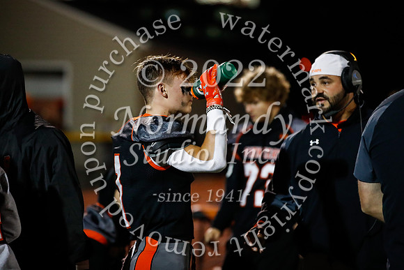 SVL_fb_06