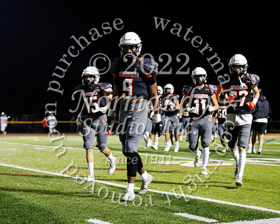 SVL_fb_10