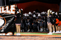 SVL_fb_15