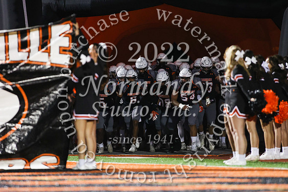 SVL_fb_15