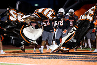 SVL_fb_16