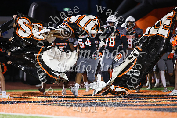 SVL_fb_16