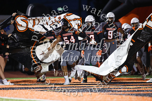 SVL_fb_17