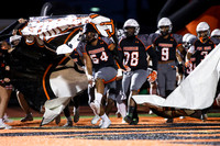 SVL_fb_18
