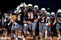 SVL_fb_20