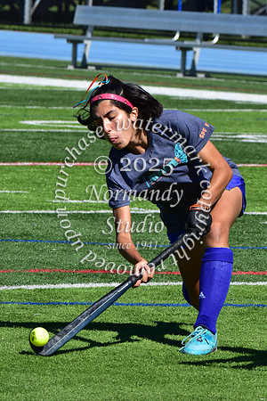 SPF_fh_23