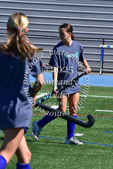 SPF_fh_41