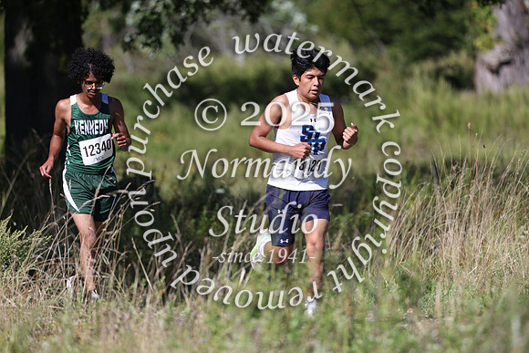SHP_cc_37