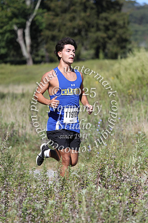 CHS_cc-b_35