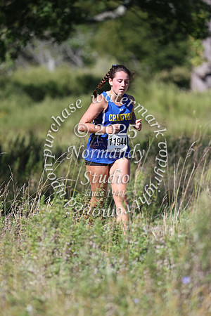 CHS_cc-g_16
