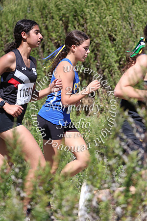 CHS_cc-g_32