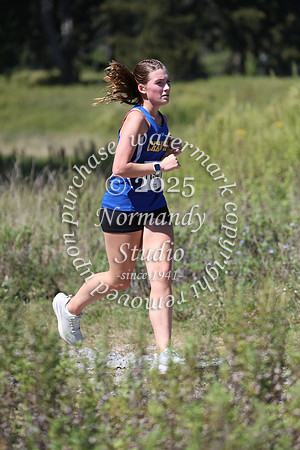 CHS_cc-g_42