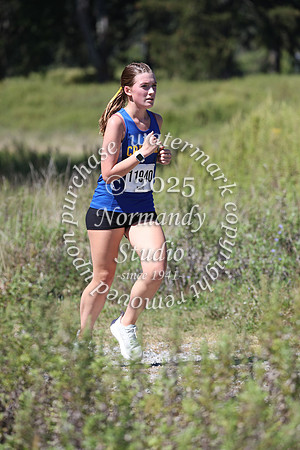CHS_cc-g_41