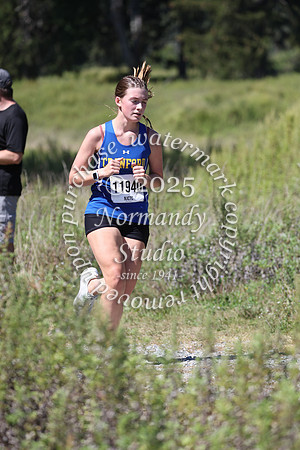 CHS_cc-g_40