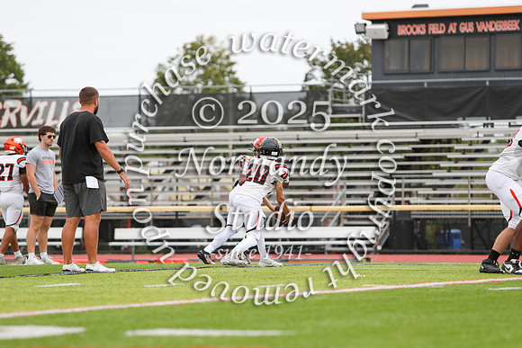 SVL_fb-j_07