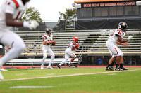 SVL_fb-j_09