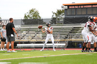 SVL_fb-j_10