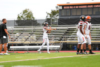 SVL_fb-j_13