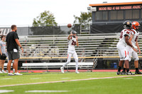 SVL_fb-j_12