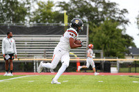 SVL_fb-j_14