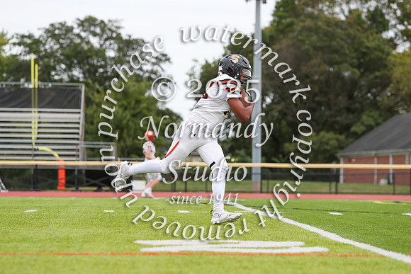 SVL_fb-j_17
