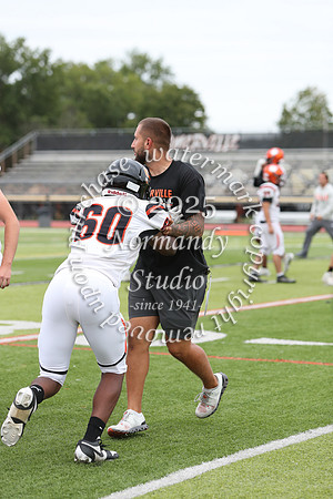 SVL_fb-j_47