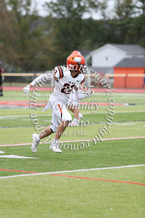 SVL_fb-j_50
