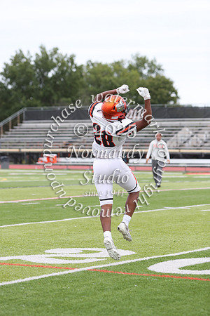 SVL_fb-j_63