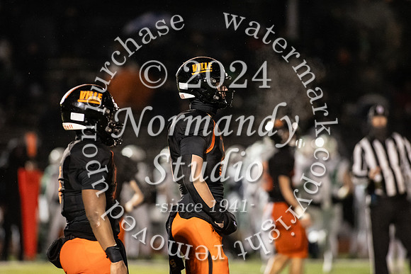 SVL_fb_19