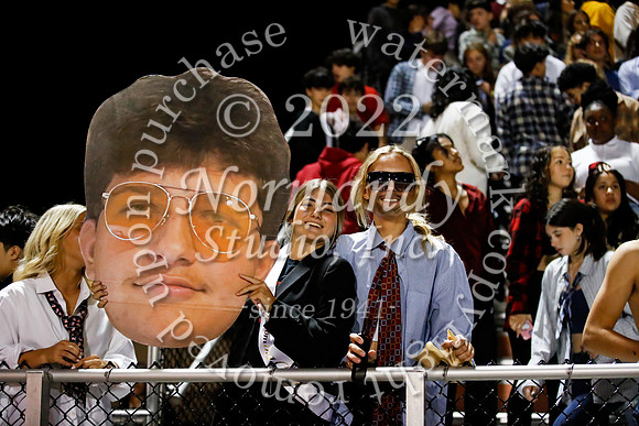SVL_fans_13