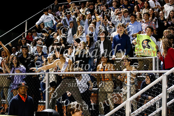 SVL_fans_12