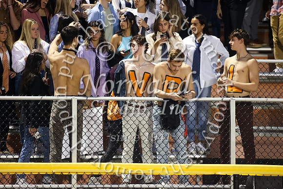 SVL_fans_19
