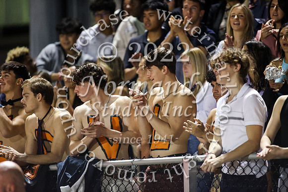 SVL_fans_56