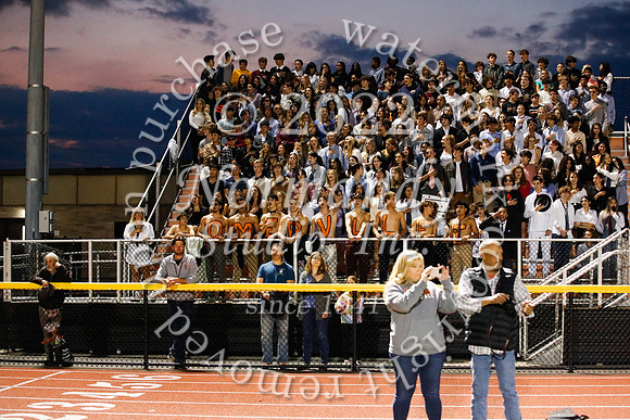 SVL_fans_01