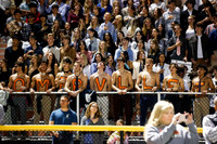 SVL_fans_02